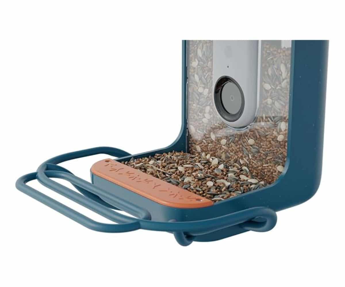 Bird Buddy Blue Perch Extender: Attract more and larger birds to your feeder.