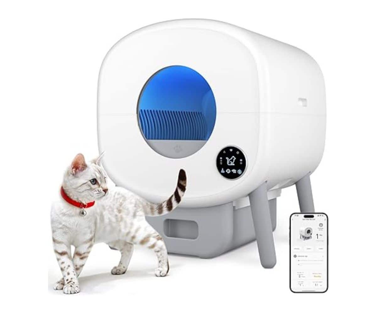 Cumrige Self Cleaning Litter Box review