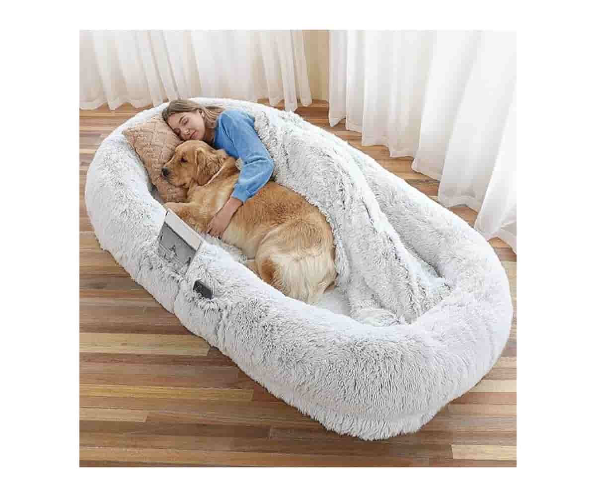 Human Dog Bed: Giant, cozy comfort for you and your furry companions