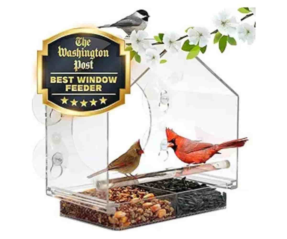 Nature Anywhere Window Bird Feeder: Enjoy birds up close, entertain your cat!