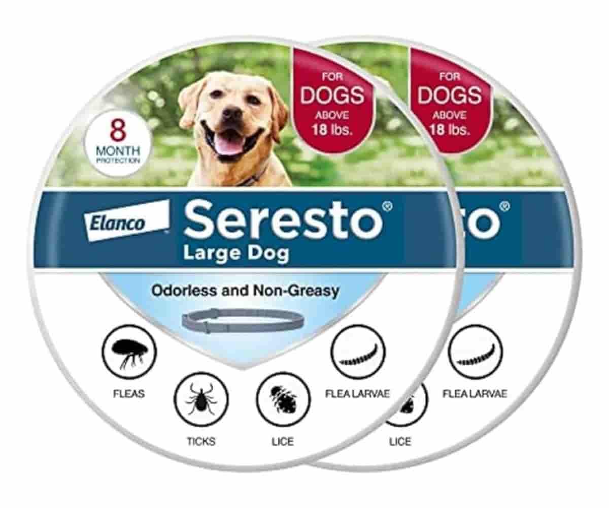 Seresto Medium Dog Collar: Up to 8 months of flea and tick protection for medium dogs