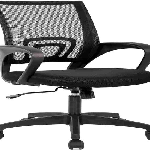 Why this is the best ergonomic home office chair for women and adults seeking comfortable support.