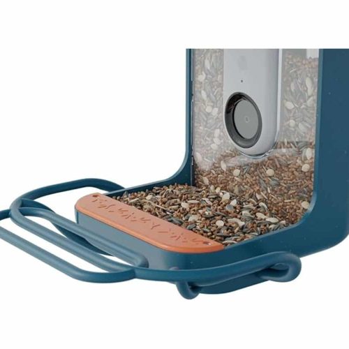 Bird Buddy Blue Perch Extender: Attract more and larger birds to your feeder.
