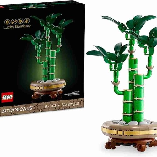 Why LEGO Lucky Bamboo is the best artificial lucky bamboo for adding good fortune to your home.