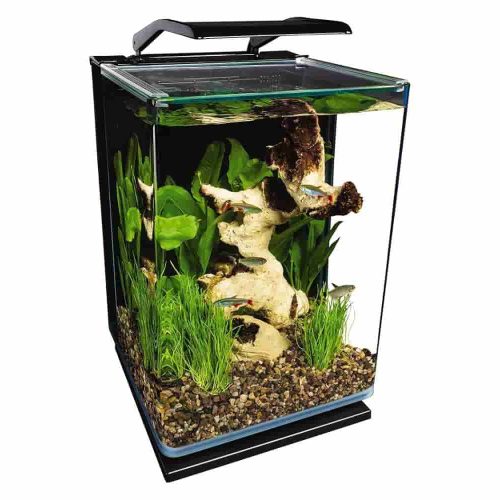Marineland Portrait 5 Gallon: Stylish vertical aquarium with hidden filtration