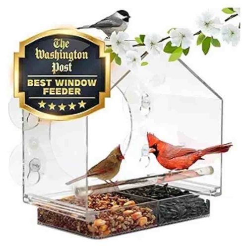 Nature Anywhere Window Bird Feeder: Enjoy birds up close, entertain your cat!