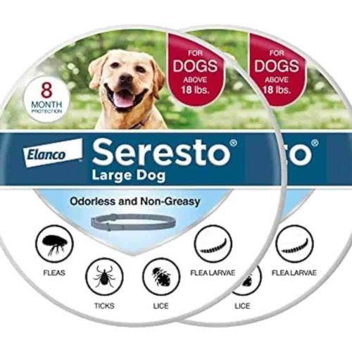 Seresto Medium Dog Collar: Up to 8 months of flea and tick protection for medium dogs